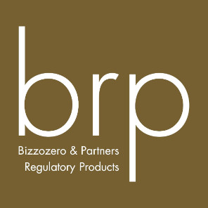 Logo Groupe BRP