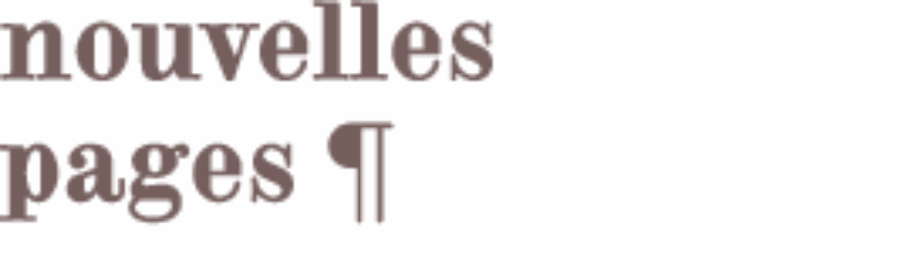 Logo librairie Nouvelles pages brun